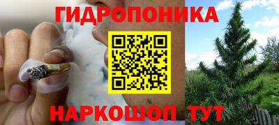 шишки Конаково